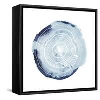 Tree Ring Overlay III-Grace Popp-Framed Stretched Canvas