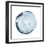 Tree Ring Overlay III-Grace Popp-Framed Art Print