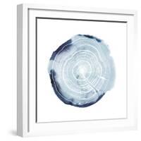 Tree Ring Overlay III-Grace Popp-Framed Art Print