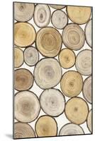 Tree Ring Study I-Tim OToole-Mounted Art Print