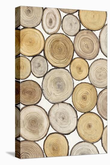 Tree Ring Study I-Tim OToole-Stretched Canvas
