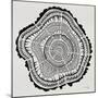 Tree Rings Black on White-Cat Coquillette-Mounted Giclee Print