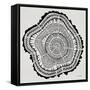 Tree Rings Black on White-Cat Coquillette-Framed Stretched Canvas