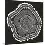 Tree Rings Black-Cat Coquillette-Mounted Giclee Print