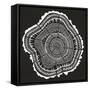 Tree Rings Black-Cat Coquillette-Framed Stretched Canvas