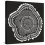 Tree Rings Black-Cat Coquillette-Stretched Canvas