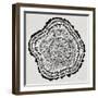 Tree Rings in Black on White-Cat Coquillette-Framed Giclee Print