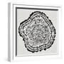 Tree Rings in Black on White-Cat Coquillette-Framed Giclee Print