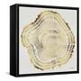 Tree Rings in Gold-Cat Coquillette-Framed Stretched Canvas