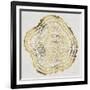 Tree Rings in Gold-Cat Coquillette-Framed Giclee Print