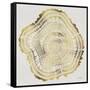 Tree Rings in Gold-Cat Coquillette-Framed Stretched Canvas
