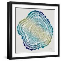 Tree Rings in Ombre-Cat Coquillette-Framed Giclee Print