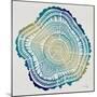 Tree Rings in Ombre-Cat Coquillette-Mounted Giclee Print