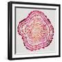 Tree Rings in Pink-Cat Coquillette-Framed Giclee Print