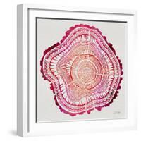 Tree Rings in Pink-Cat Coquillette-Framed Giclee Print