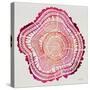 Tree Rings in Pink-Cat Coquillette-Stretched Canvas
