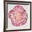 Tree Rings in Pink-Cat Coquillette-Framed Giclee Print