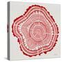 Tree Rings in Red-Cat Coquillette-Stretched Canvas