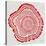 Tree Rings in Red-Cat Coquillette-Stretched Canvas