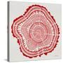 Tree Rings in Red-Cat Coquillette-Stretched Canvas