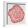 Tree Rings in Red-Cat Coquillette-Framed Giclee Print