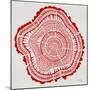 Tree Rings in Red-Cat Coquillette-Mounted Giclee Print