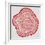 Tree Rings in Red-Cat Coquillette-Framed Giclee Print