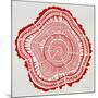 Tree Rings in Red-Cat Coquillette-Mounted Giclee Print