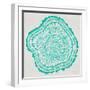 Tree Rings in Turquoise-Cat Coquillette-Framed Giclee Print