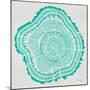Tree Rings in Turquoise-Cat Coquillette-Mounted Giclee Print