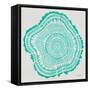 Tree Rings in Turquoise-Cat Coquillette-Framed Stretched Canvas