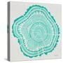 Tree Rings in Turquoise-Cat Coquillette-Stretched Canvas