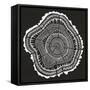 Tree Rings in White on Black-Cat Coquillette-Framed Stretched Canvas