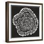 Tree Rings in White on Black-Cat Coquillette-Framed Giclee Print