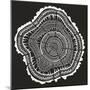 Tree Rings in White on Black-Cat Coquillette-Mounted Giclee Print