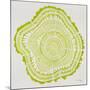 Tree Rings Lime-Cat Coquillette-Mounted Giclee Print