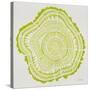 Tree Rings Lime-Cat Coquillette-Stretched Canvas