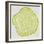 Tree Rings Lime-Cat Coquillette-Framed Giclee Print