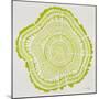 Tree Rings Lime-Cat Coquillette-Mounted Giclee Print