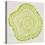 Tree Rings Lime-Cat Coquillette-Stretched Canvas