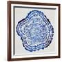 Tree Rings Navy-Cat Coquillette-Framed Giclee Print