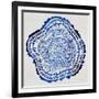 Tree Rings Navy-Cat Coquillette-Framed Giclee Print