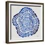 Tree Rings Navy-Cat Coquillette-Framed Giclee Print