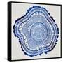 Tree Rings Navy-Cat Coquillette-Framed Stretched Canvas