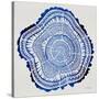 Tree Rings Navy-Cat Coquillette-Stretched Canvas