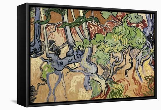 Tree Roots, 1890-Vincent van Gogh-Framed Stretched Canvas