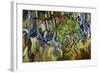 Tree Roots and Tree Trunks-Vincent van Gogh-Framed Giclee Print