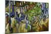 Tree Roots and Tree Trunks-Vincent van Gogh-Mounted Giclee Print