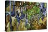 Tree Roots and Tree Trunks-Vincent van Gogh-Stretched Canvas