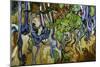 Tree Roots and Tree Trunks-Vincent van Gogh-Mounted Premium Giclee Print